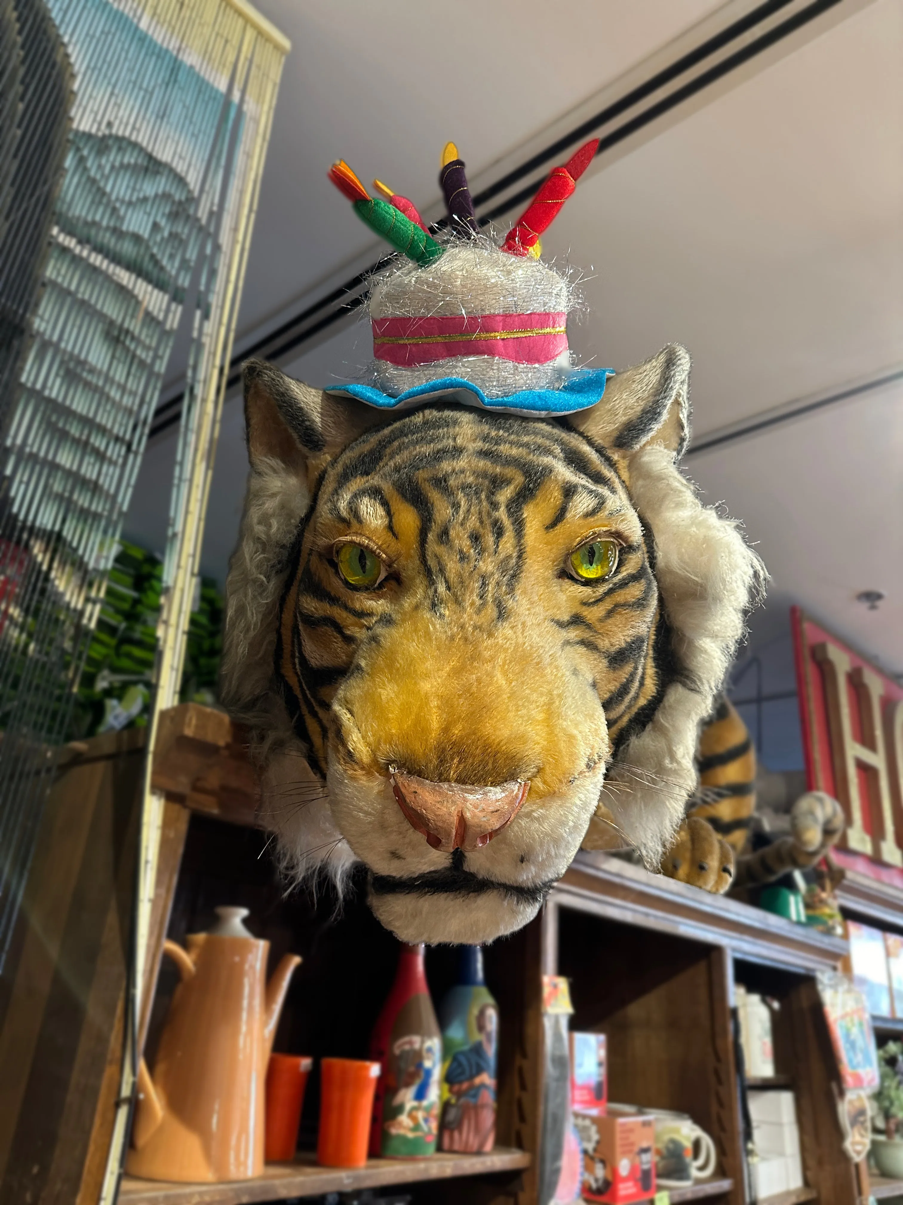 Birthday Hat