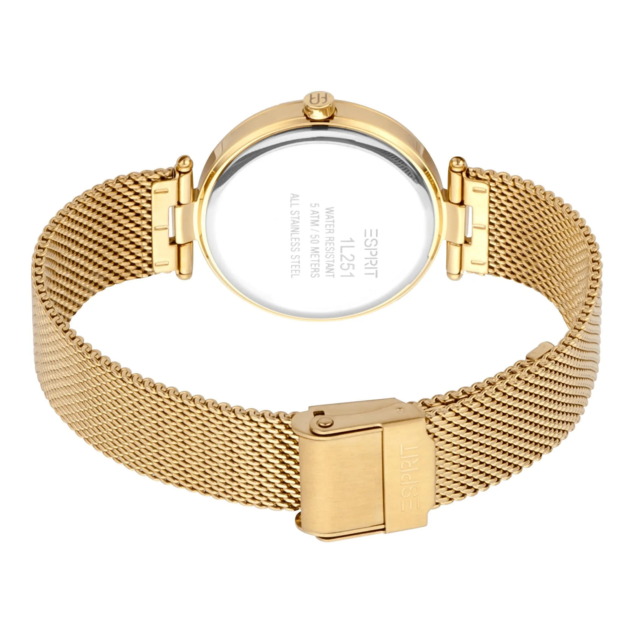 Esprit Stainless Steel Analog Women's Watch ES1L251M0055